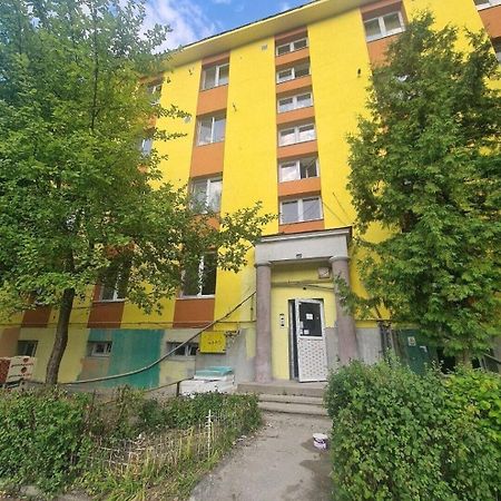 Mural Art Apartament 彼得罗沙尼 外观 照片