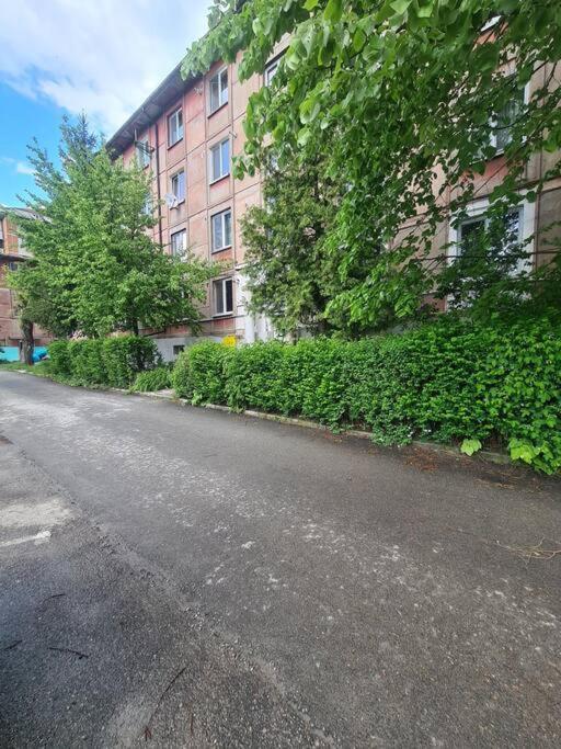 Mural Art Apartament 彼得罗沙尼 外观 照片