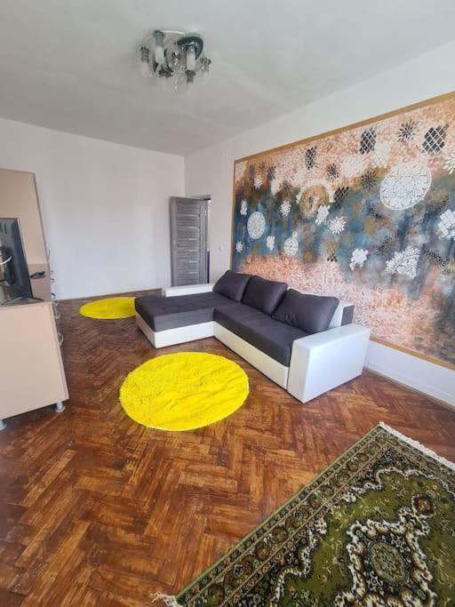 Mural Art Apartament 彼得罗沙尼 外观 照片
