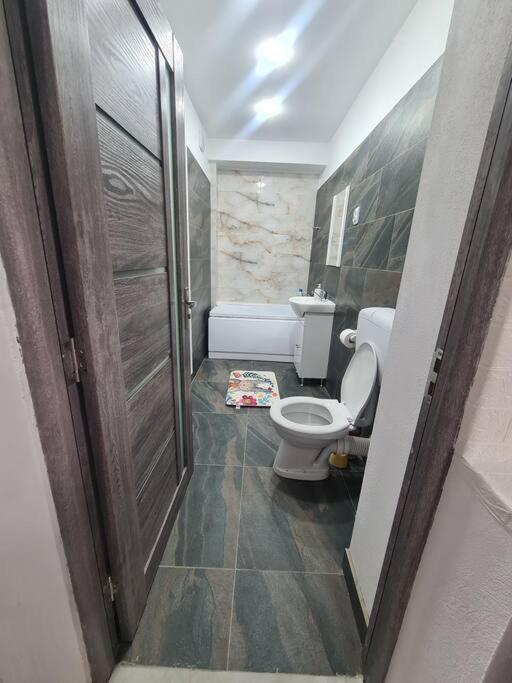 Mural Art Apartament 彼得罗沙尼 外观 照片