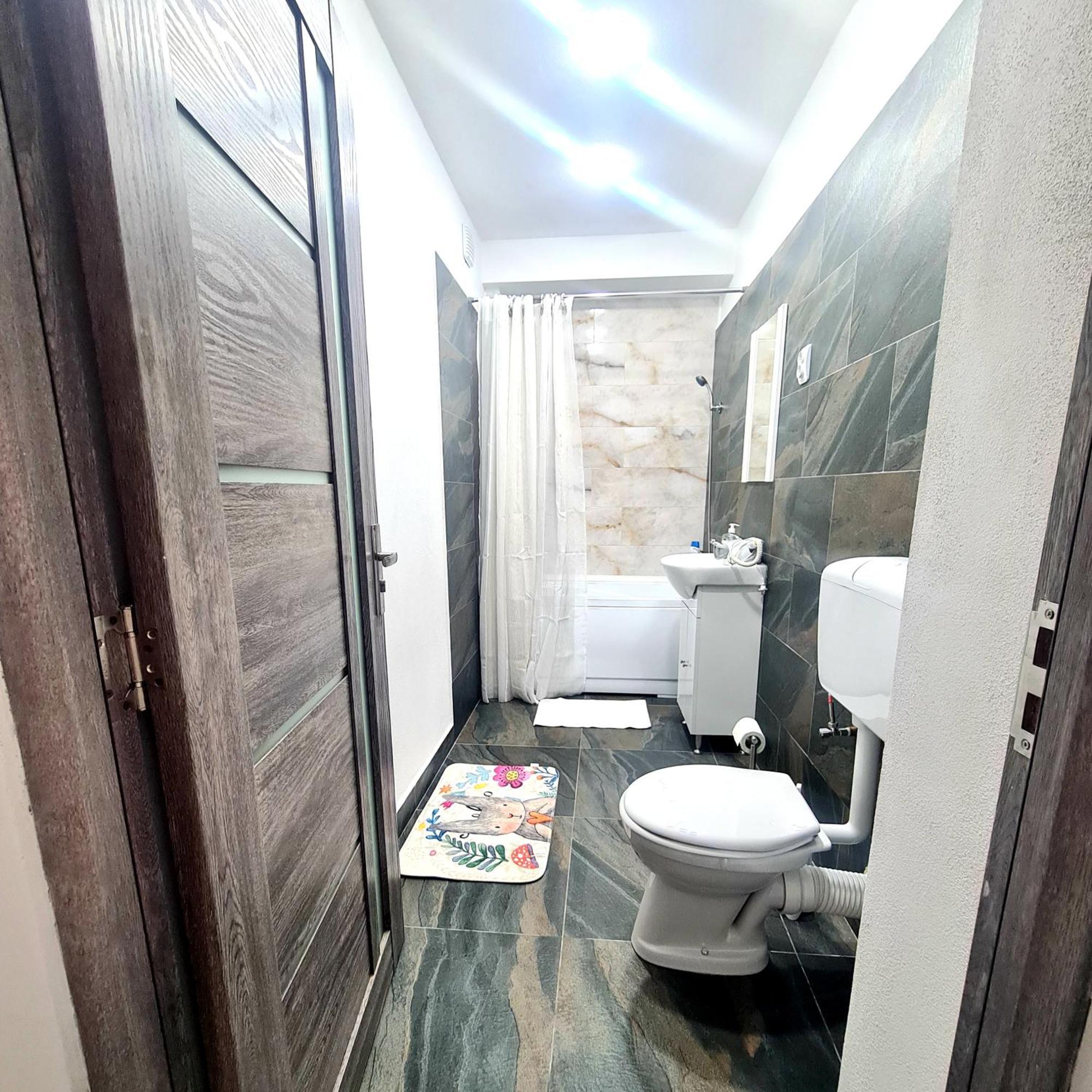 Mural Art Apartament 彼得罗沙尼 外观 照片